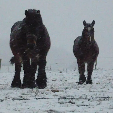 Ziggy's With A View *