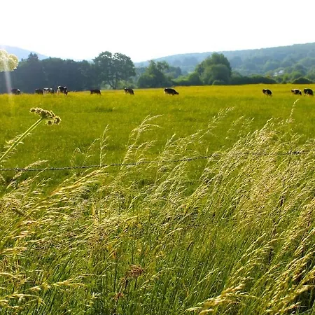 公寓 Ziggy's With A View