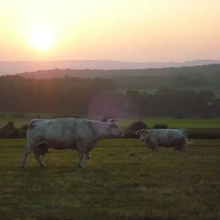 公寓 Ziggy's With A View Heyd