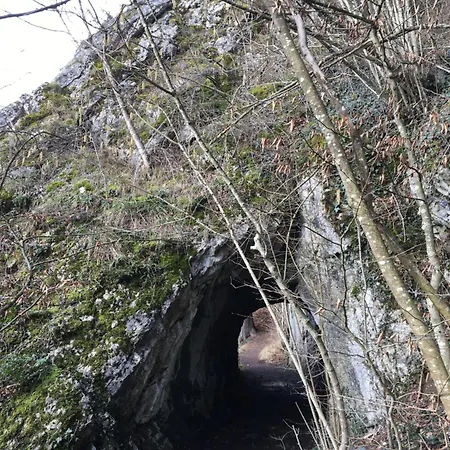 Ziggy's With A View Heyd