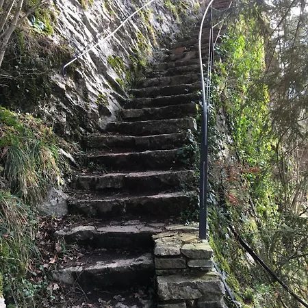 Ziggy's With A View * Heyd