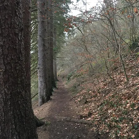 公寓 Ziggy's With A View