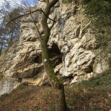 Ziggy's With A View * Heyd